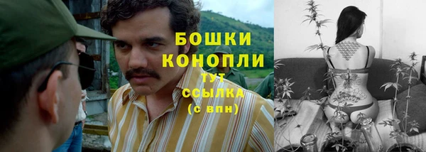 хмурый Богородицк