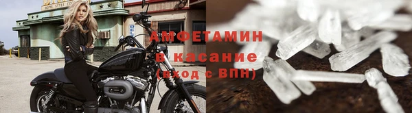 сатива Богданович
