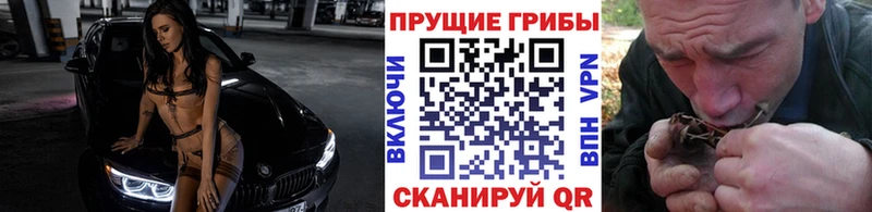 Галлюциногенные грибы Psilocybe  купить   дарк нет какой сайт  Краснозаводск 